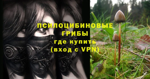 mdma Осинники